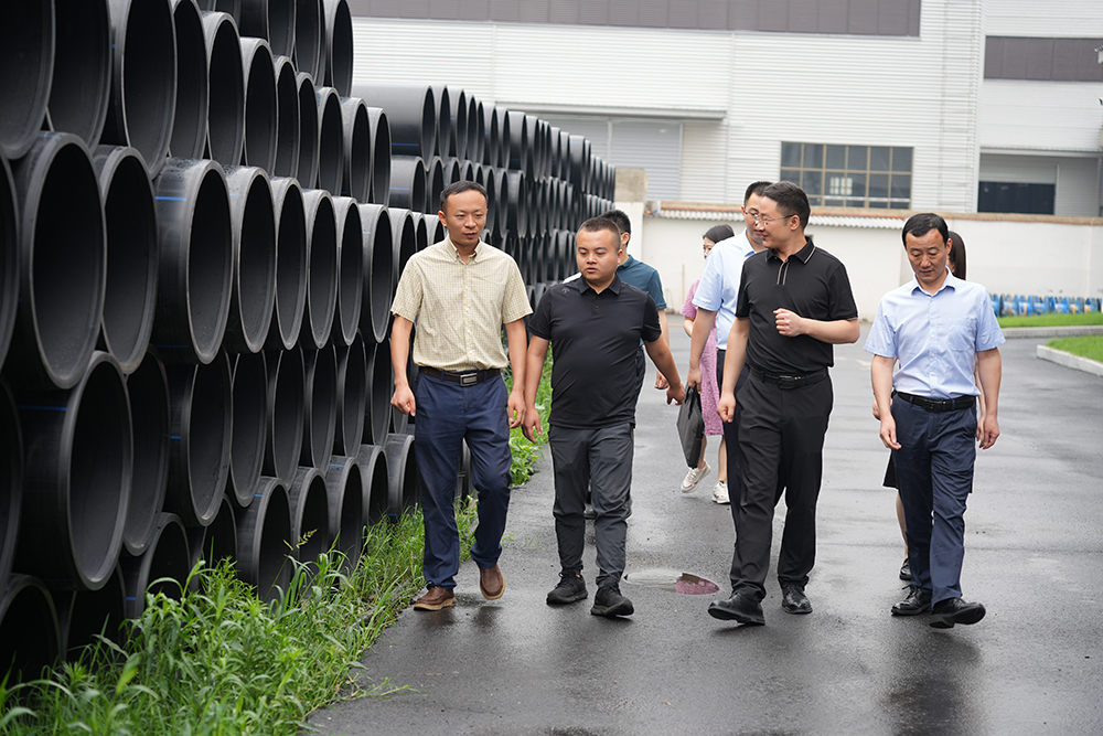 肥西县桃花镇政协联络组长韩雪松，镇党委副书记轩耀等一行莅临尊龙凯时官网股份调研交流2